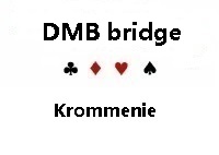 DMB bridge logo